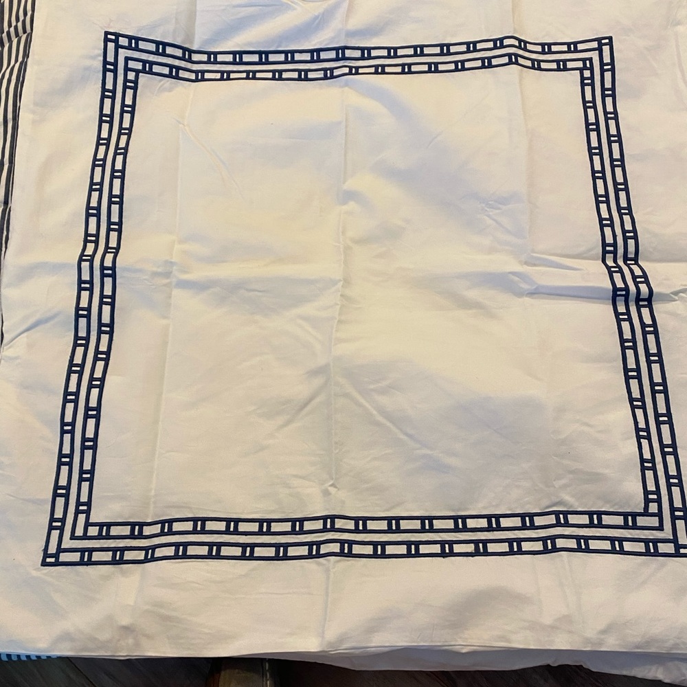 Pottery Barn Euro Shams (2)
